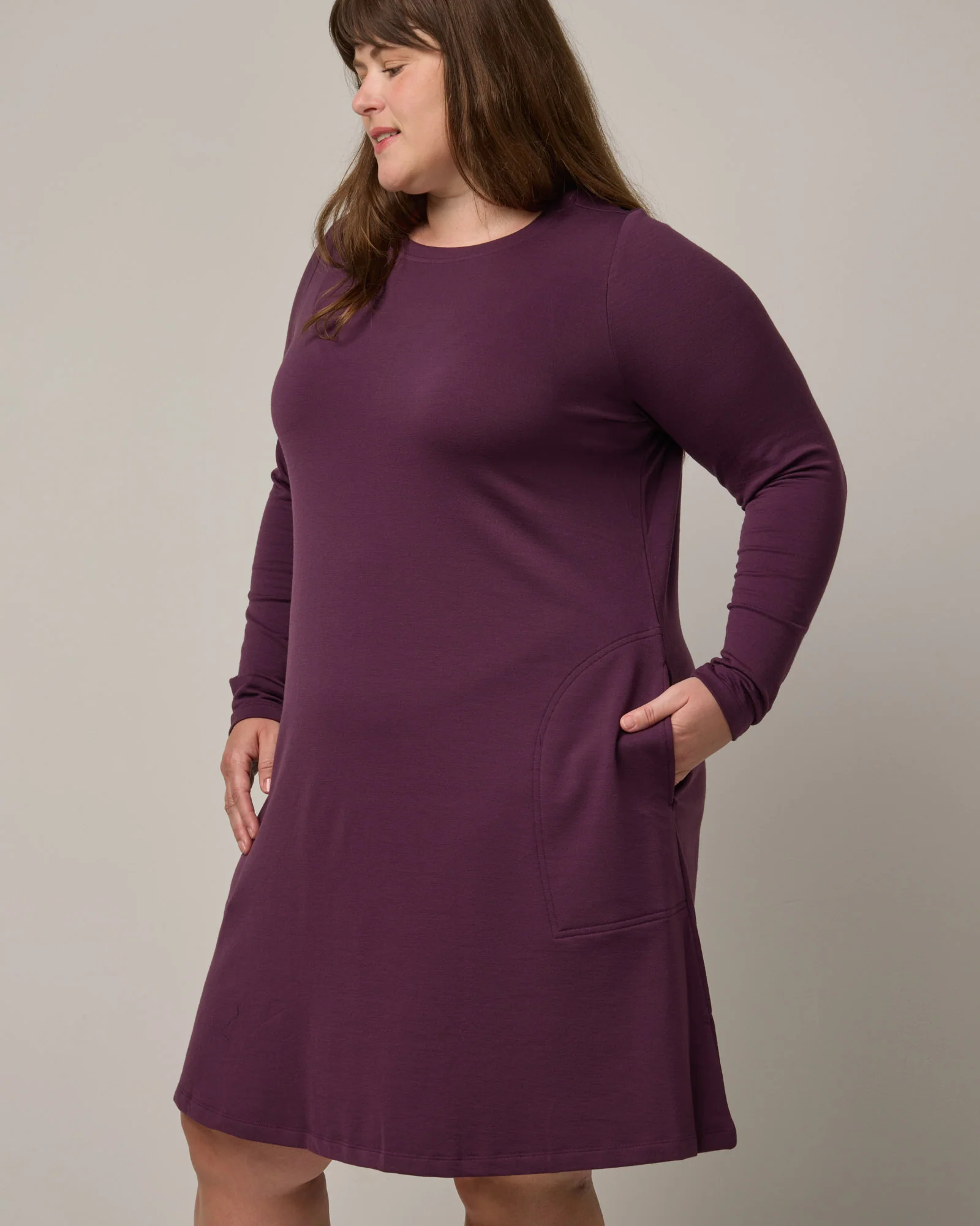 Eliza Swing Dress - Image 4